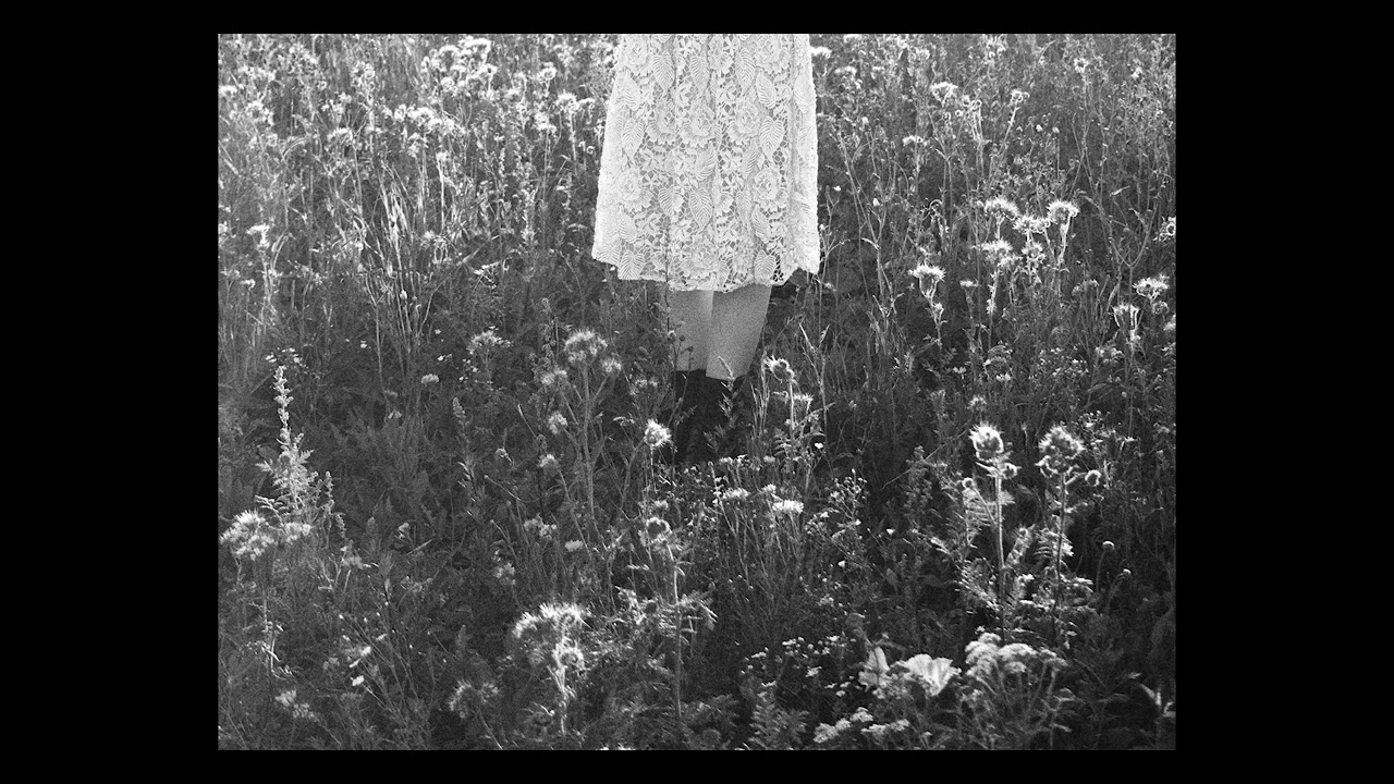 Nicole Dollanganger - In The Land [Marieth Cover] (Slowed and Reverb)