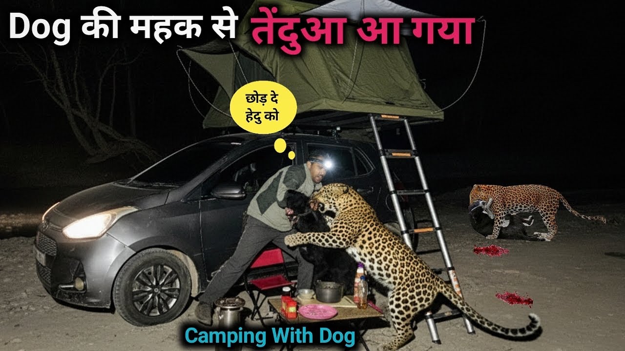 Leopard Attack On Dog की महक से तेंदुआ आ गया Rooftop Tent Night Camping in Forest JungleCampingVideo