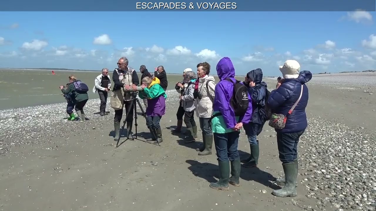 Activités de la Société d'Horticulture du Pays de Vannes