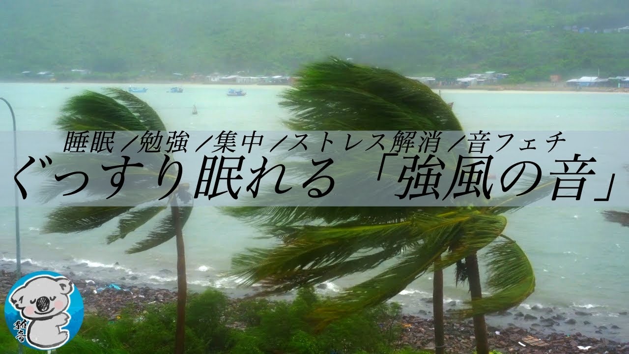 【風の音/睡眠用BGM】ぐっすり眠れる台風の音・暴風の音 | 夜眠れない時に聴く強風の音 《睡眠, ASMR, 自然音, 勉強, 作業》
