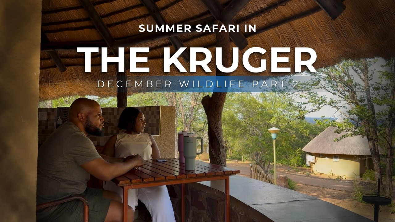 Летнее сафари в Крюгере | Дикая природа декабря. Часть 2
