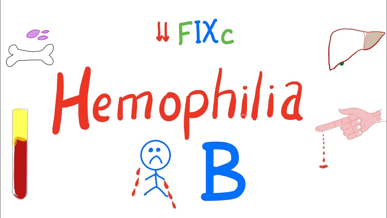 Hemophilia B