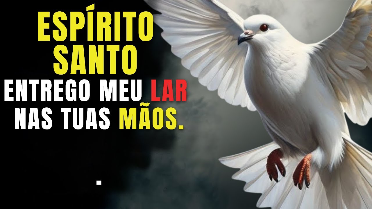 Espírito Santo, Entrego Meu Lar Nas Tuas Mãos Porque Não Quero Errar Nesta Fase da Vida