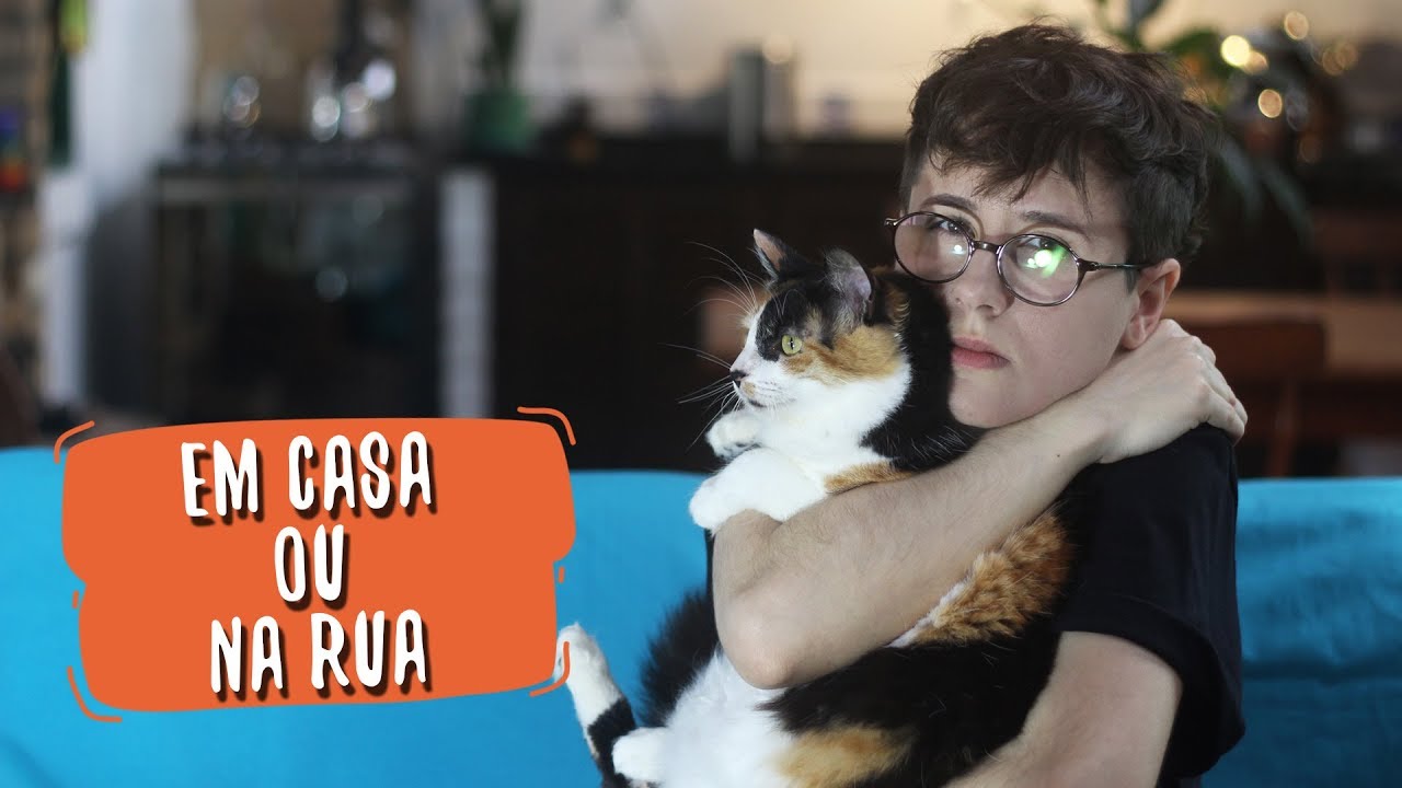 ANIMAIS DEVEM TER ACESSO À RUA? | Louie Ponto