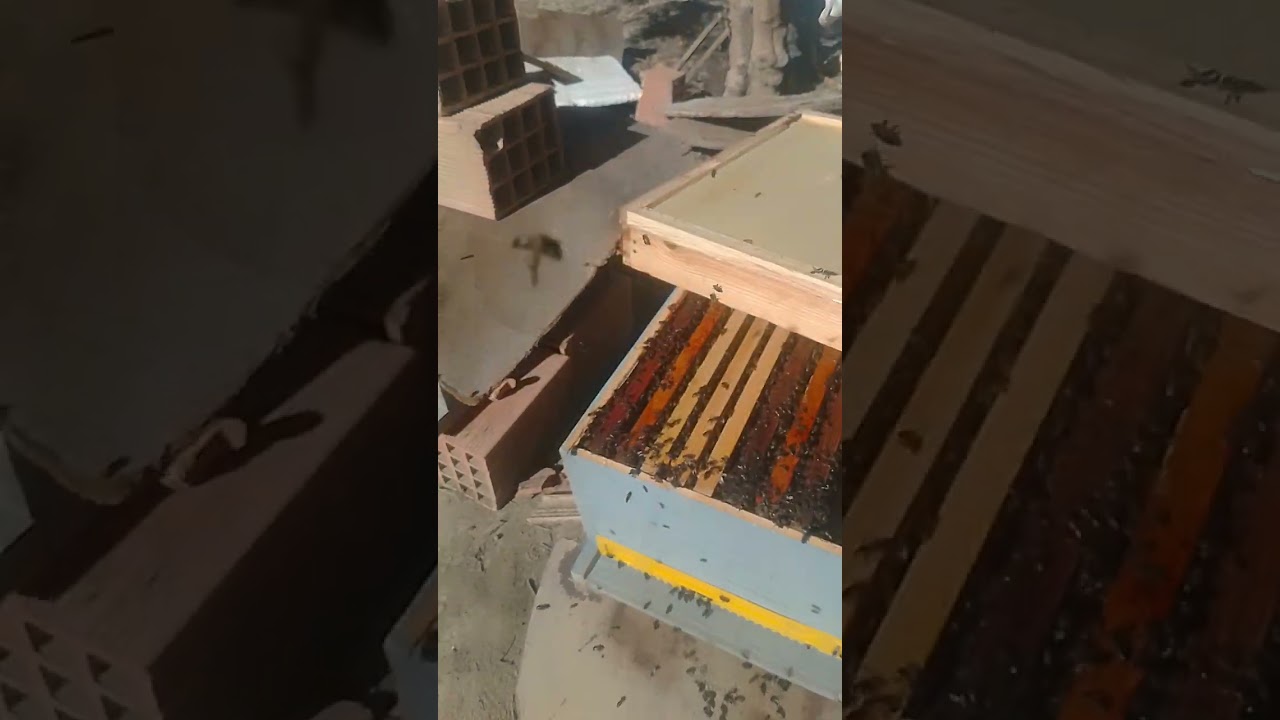 كيفية وضع الإطارة بترتيب