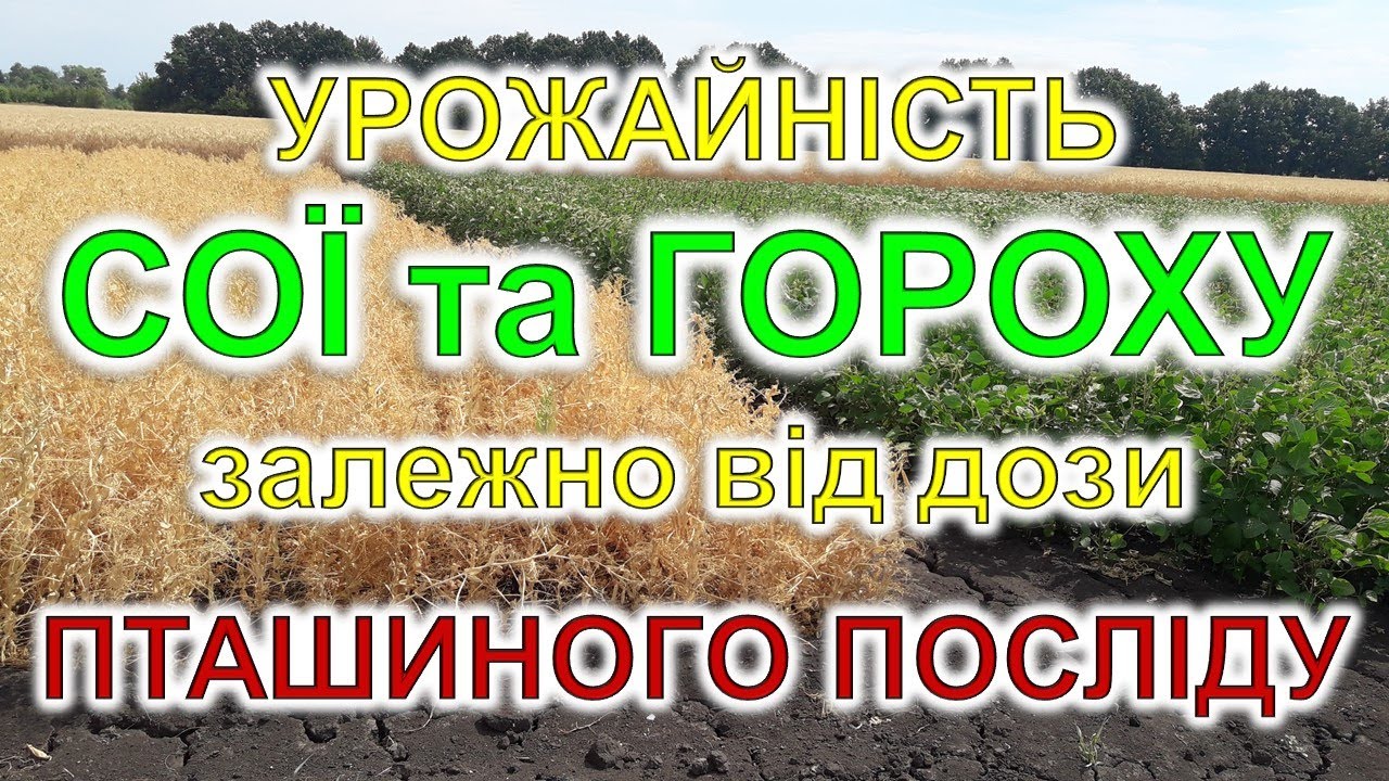 Урожайність сої та гороху залежно від дози пташиного посліду