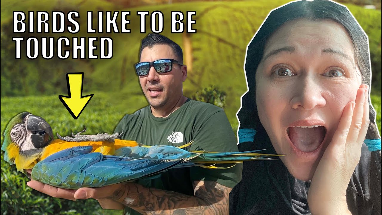 EPIC FREE FLYING with Drone and WHY you NEED TO TOUCH your BIRD EVERYWHERE!