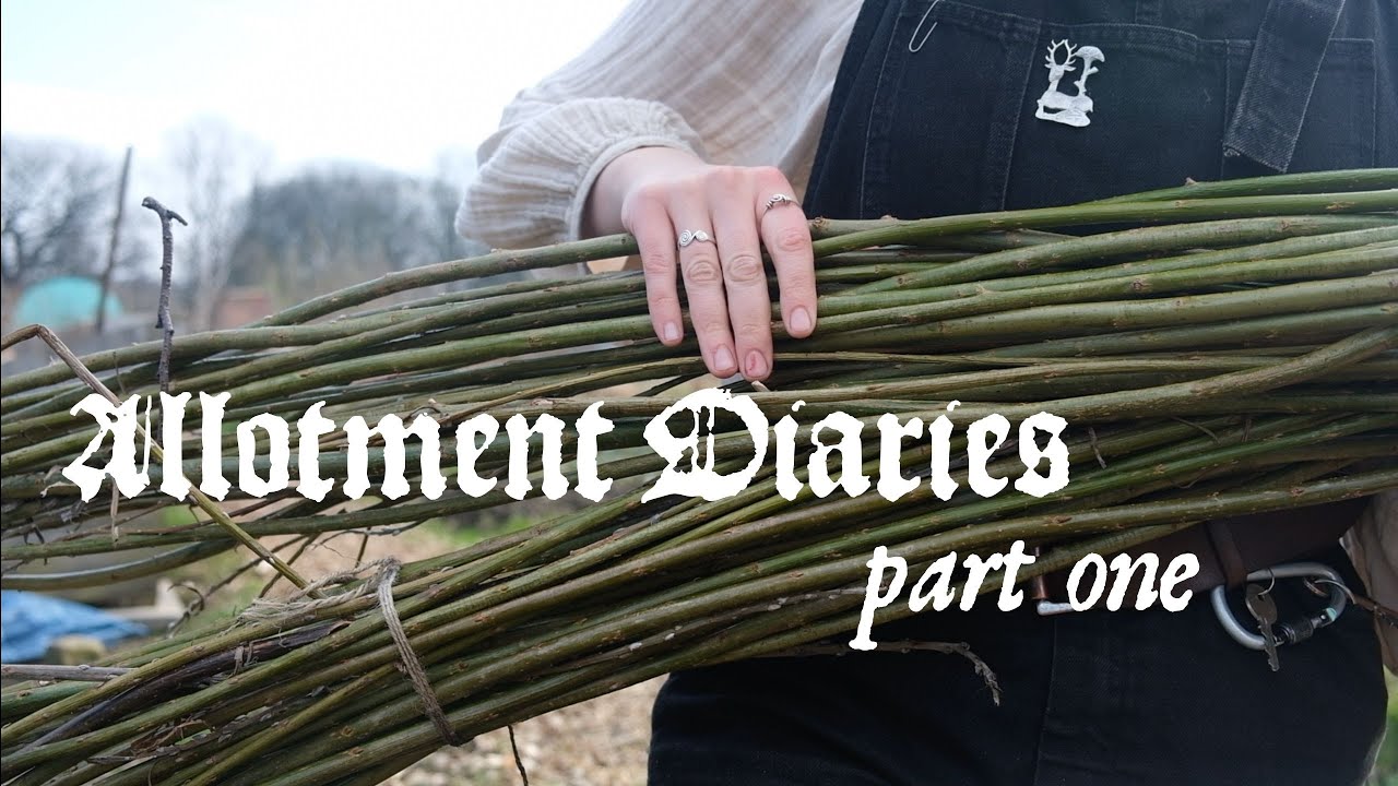 ✥ Allotment Diaries ✥ Part One ✥