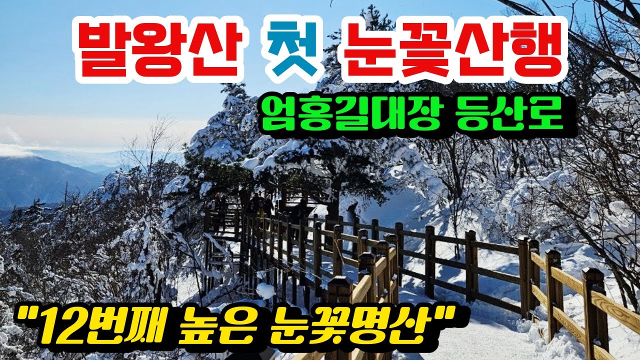 폭설 내린후 발왕산 눈꽃산행, 천년주목숲길~엄홍길, 케이블카로 편하게 12번째 높은 강원도 눈꽃명산 (4K)