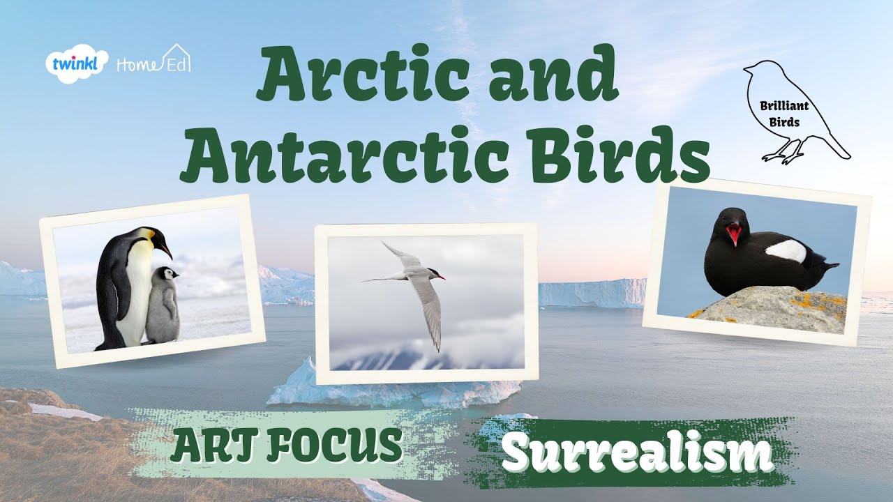Arctic and Antarctic Birds: Art Focus - Surrealism