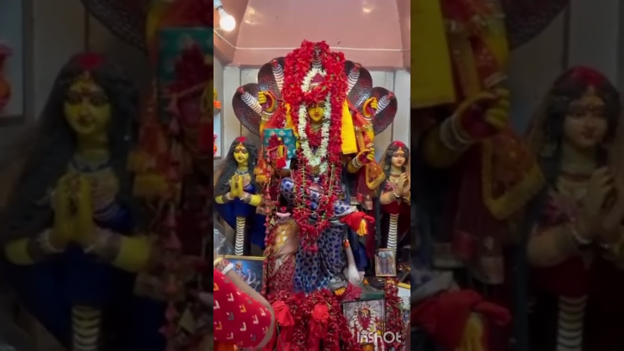 এই ভক্ত মা অনেক উপকার পেয়েছেন 🙏🙏🙏🙏🙏 জয় মা মনসা মায়ের জয় 