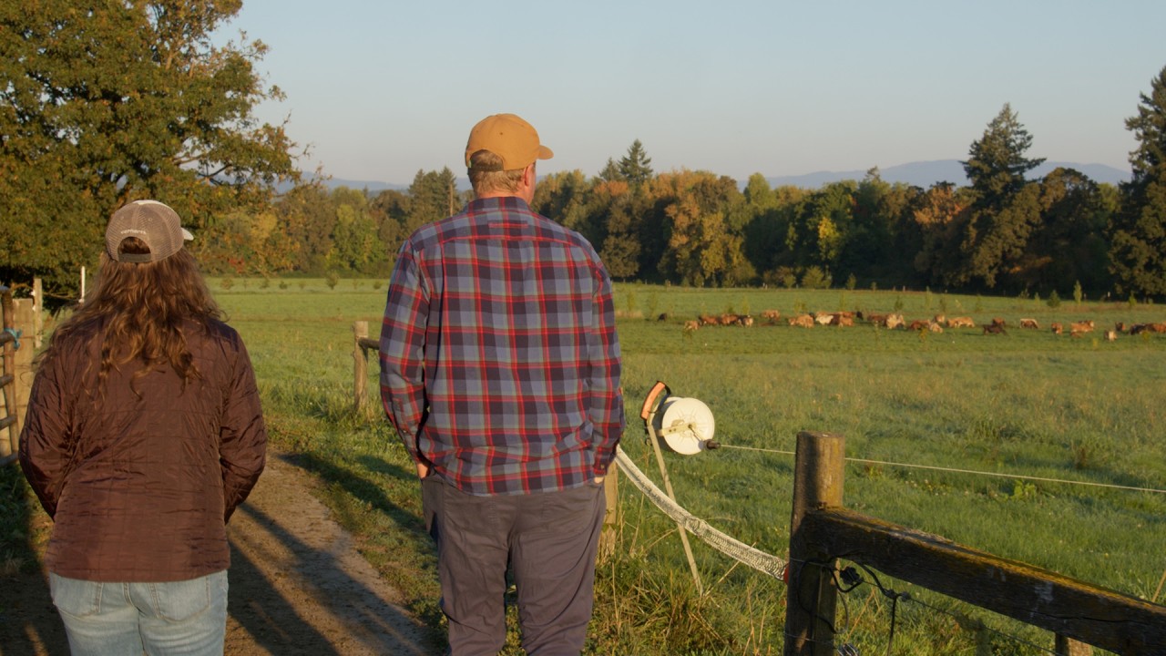 Organic Dairy in Oregon | Double J Jersey Story