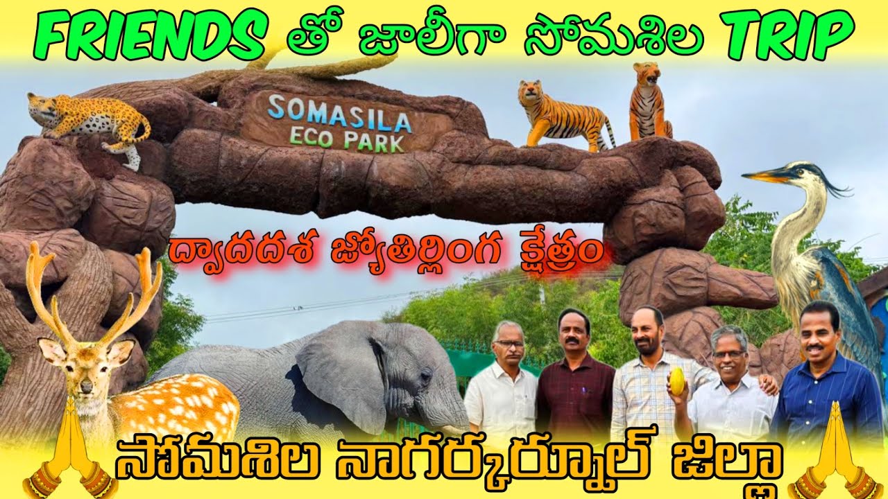 A Jolly Trip to Somashila