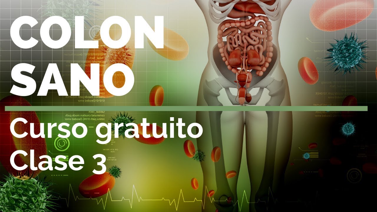 COLON SANO ¡Curso gratuito! Clase 3️⃣