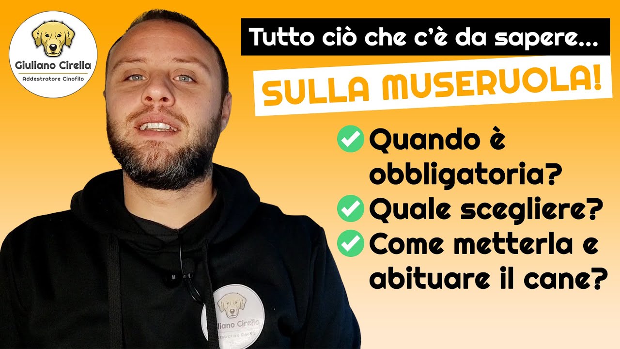 🐶 MUSERUOLA: Come Metterla? Quale Scegliere? Come Abituare il Cane? | Giuliano Addestratore
