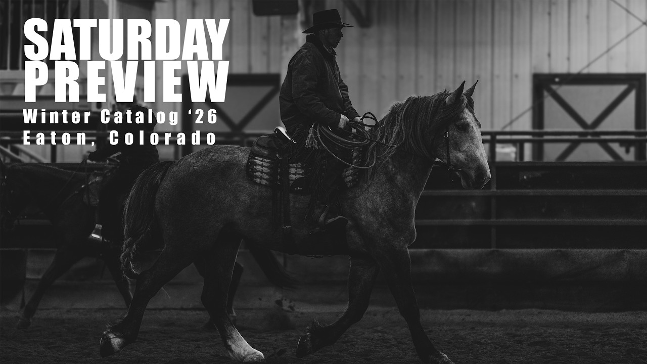 Colorado Horse Sale Winter Catalog - Saturday Preview - Sponsored By Cinch