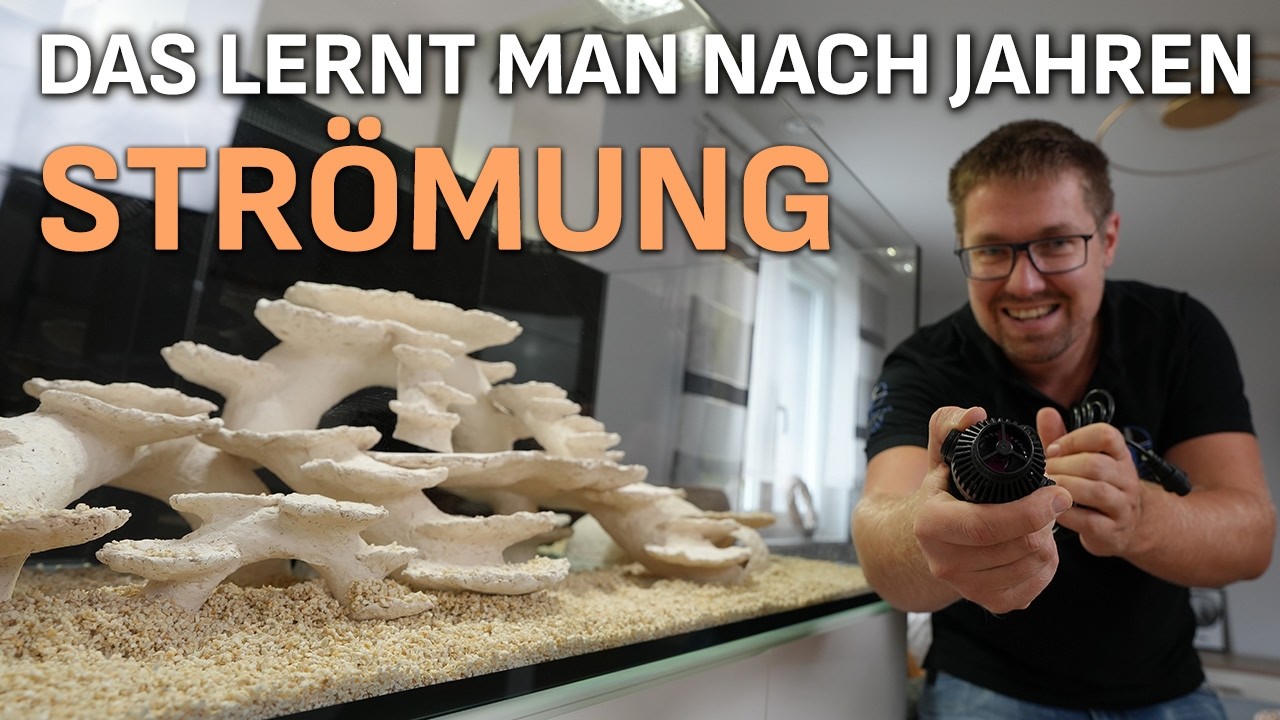 Welche Strömung testet Michl in seinem Becken? - PlanktonPlus Aquaristik