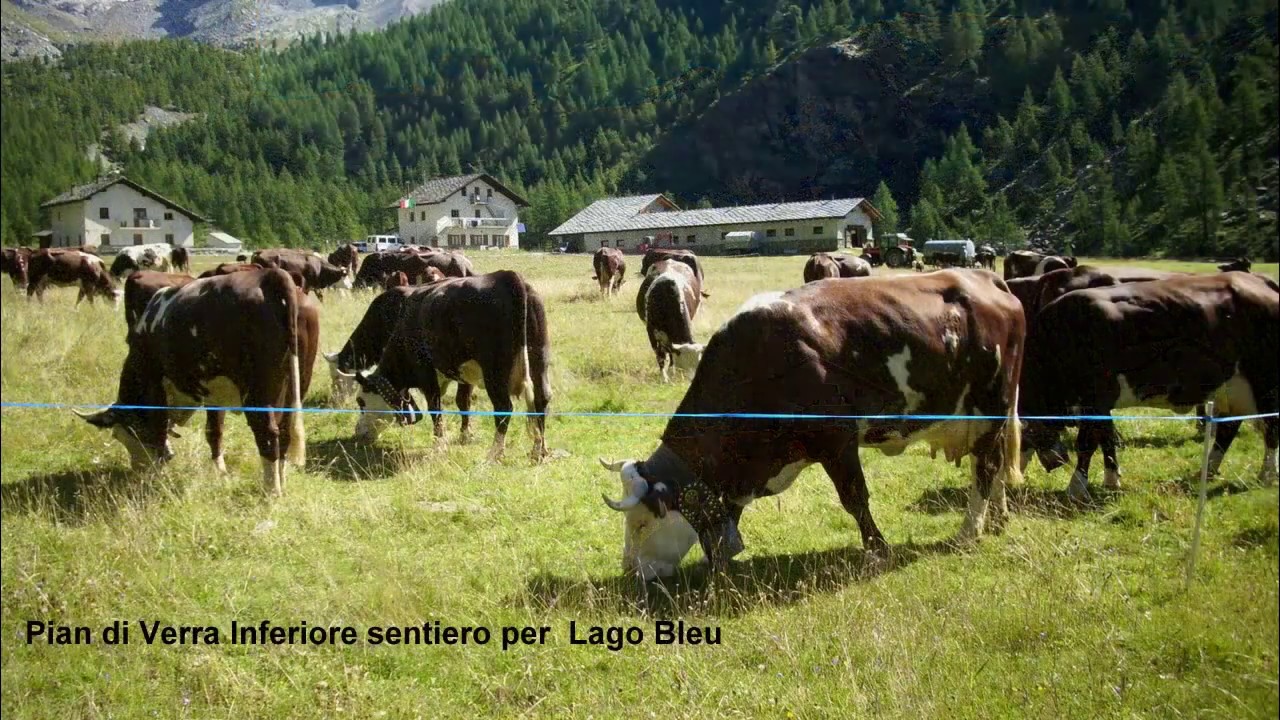 Champoluc-Rifugio Mezzalama