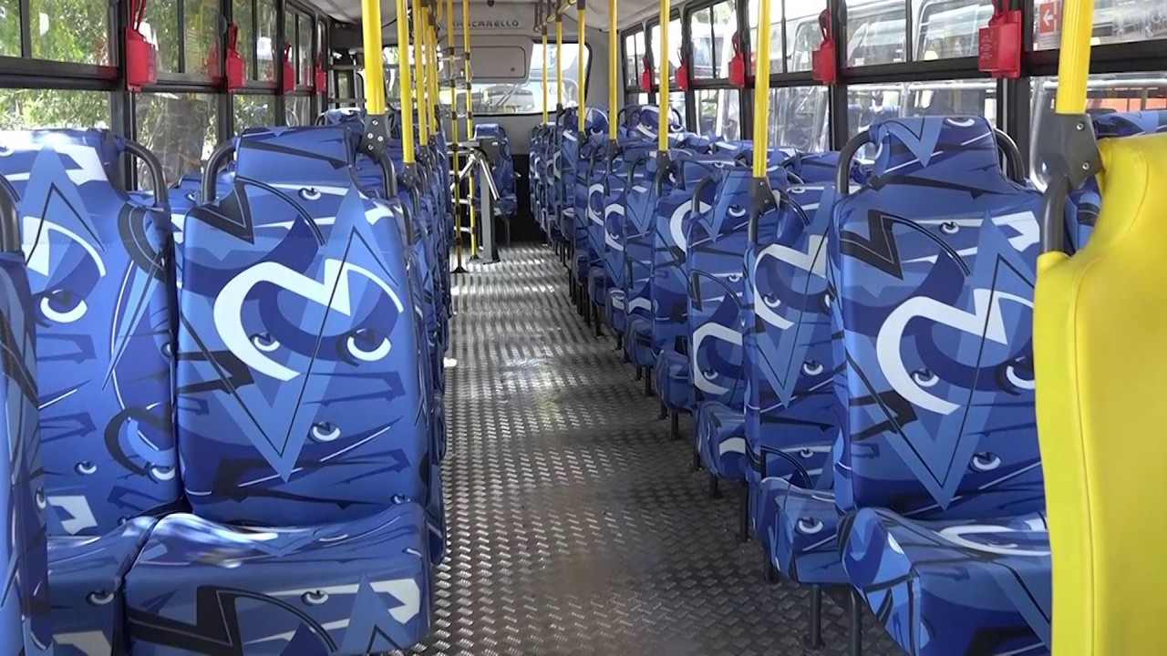 Renovación del transporte público