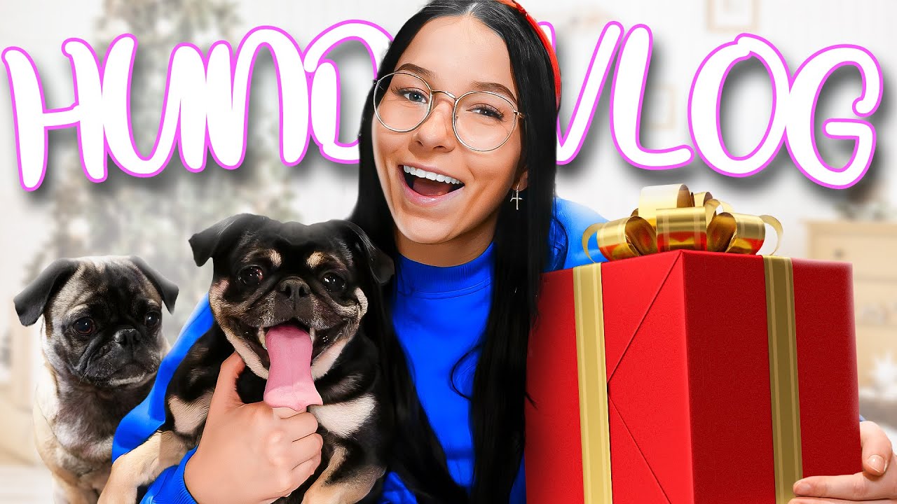 Die HUNDE WELPEN haben GEBURTSTAG! 🐶🎉 | Hunde Vlog #1