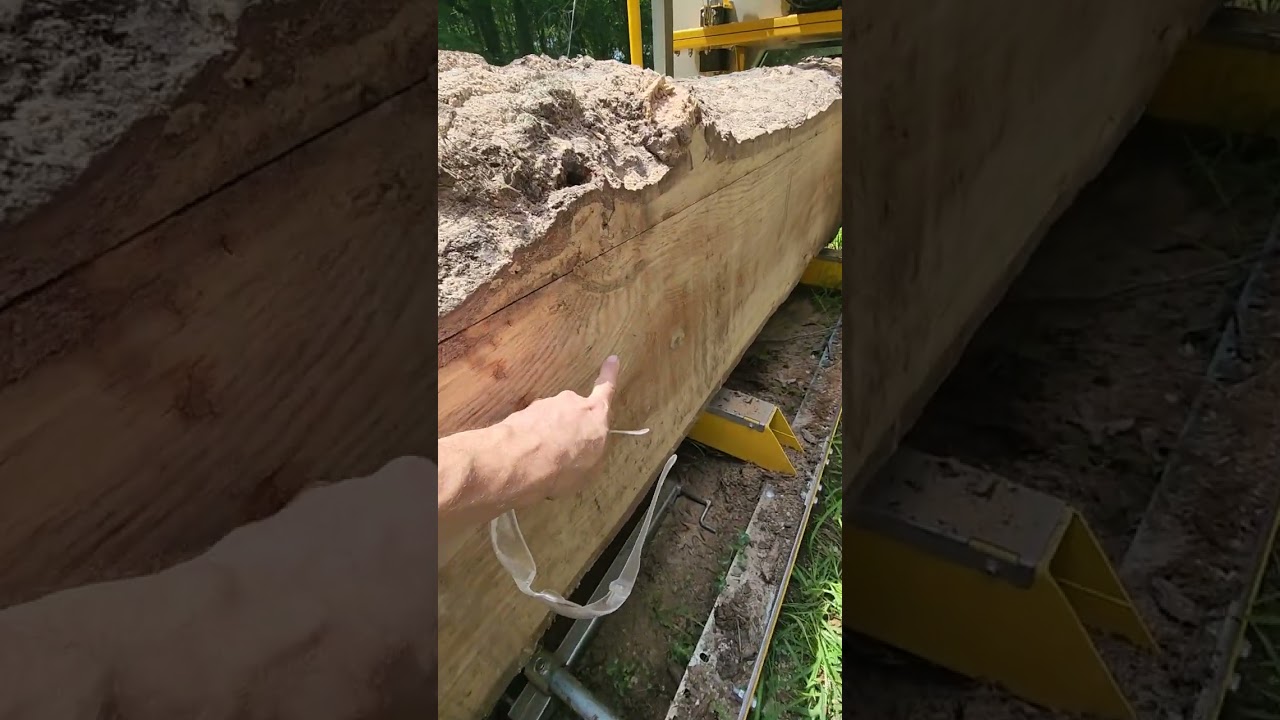 Sawmilling the 'Biggest Log Yet", Frontier OS31 Sawmill
