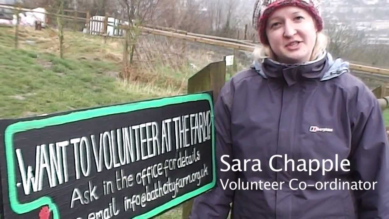Volunteering at the Farm