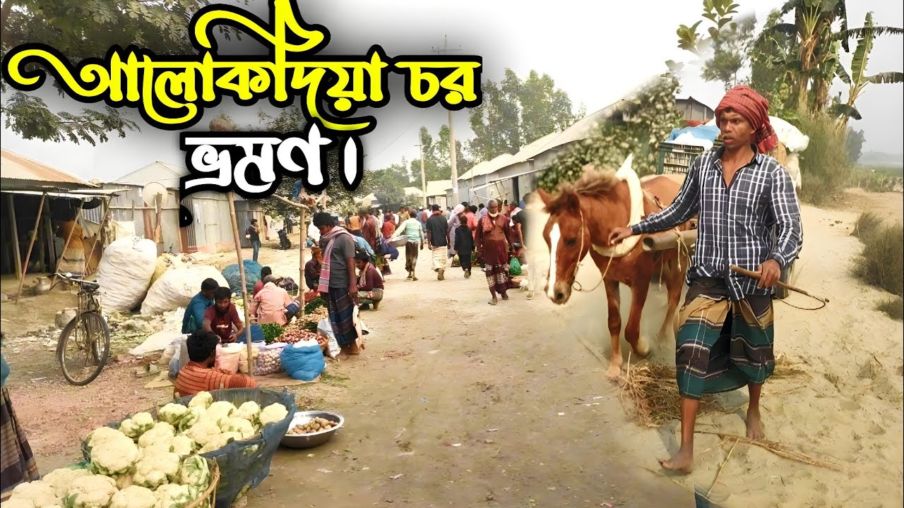 Alokdia Chor Travel | আলোকদিয়া চরের বৈচিত্র জীবন ও গ্রামীণ বাজার। Jamuna River ।