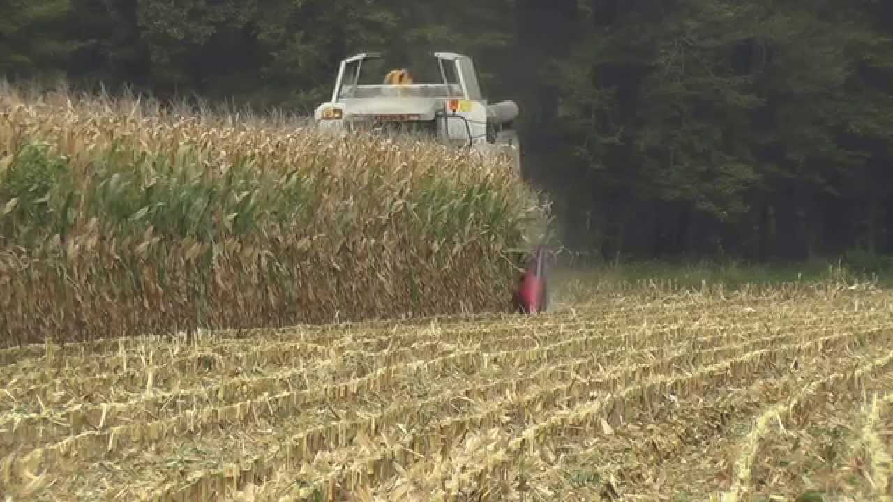 Hightech Claas Lexion 450 mit 6.reihigen  Maispfl&uuml;cker Feldern unseren Bauer
