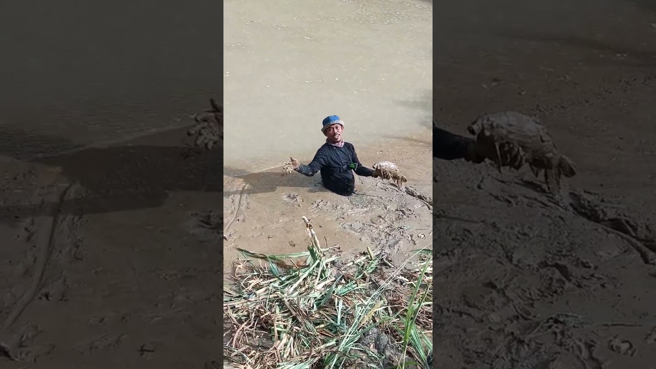 Balikin Kelor Dapat Ikan Mahal