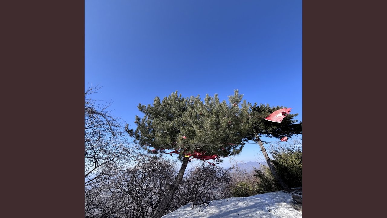 永恒的春天