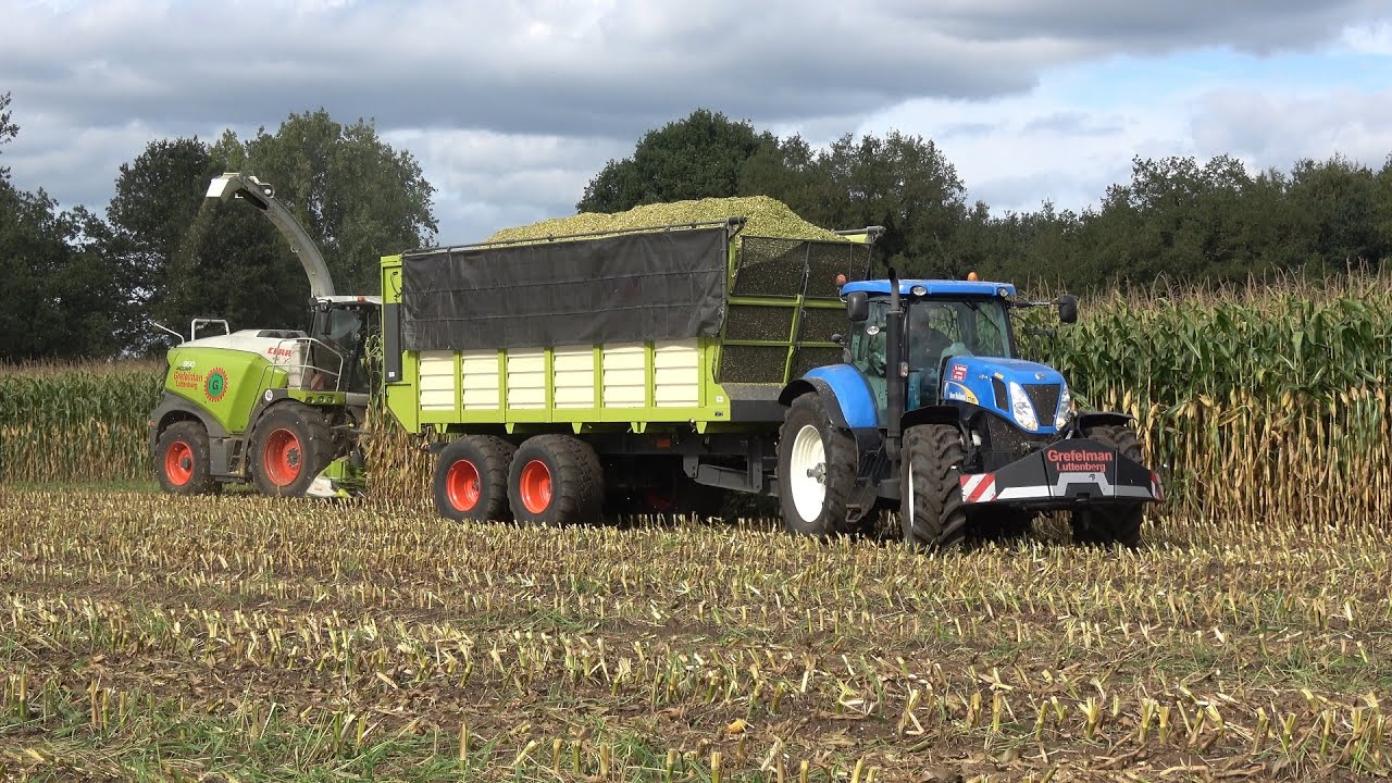 Mais hakselen in Hellendoorn door loonbedrijf Grefelman (2022)
