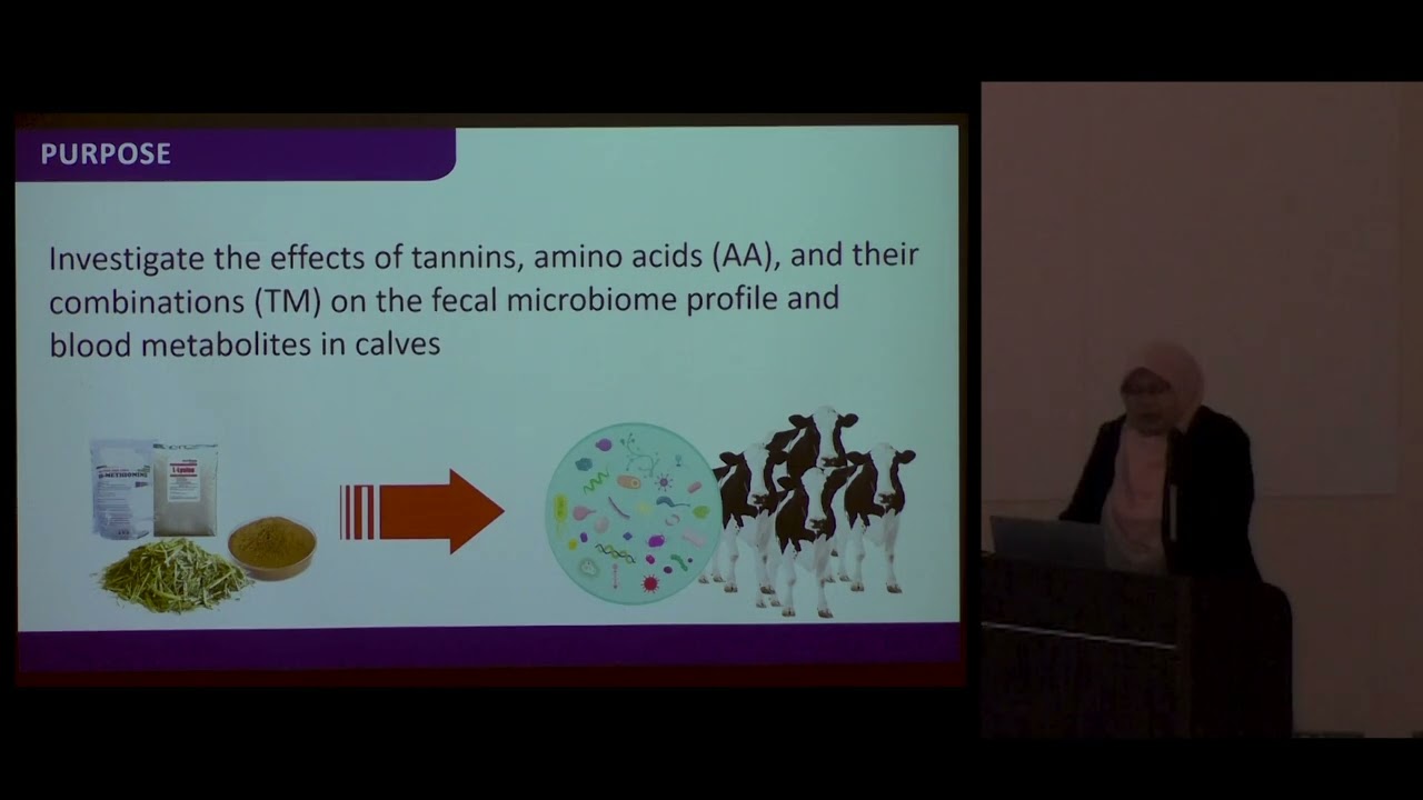 Effects of tannins, amino acids, and their combination on microbiome and blood metabolites in calves