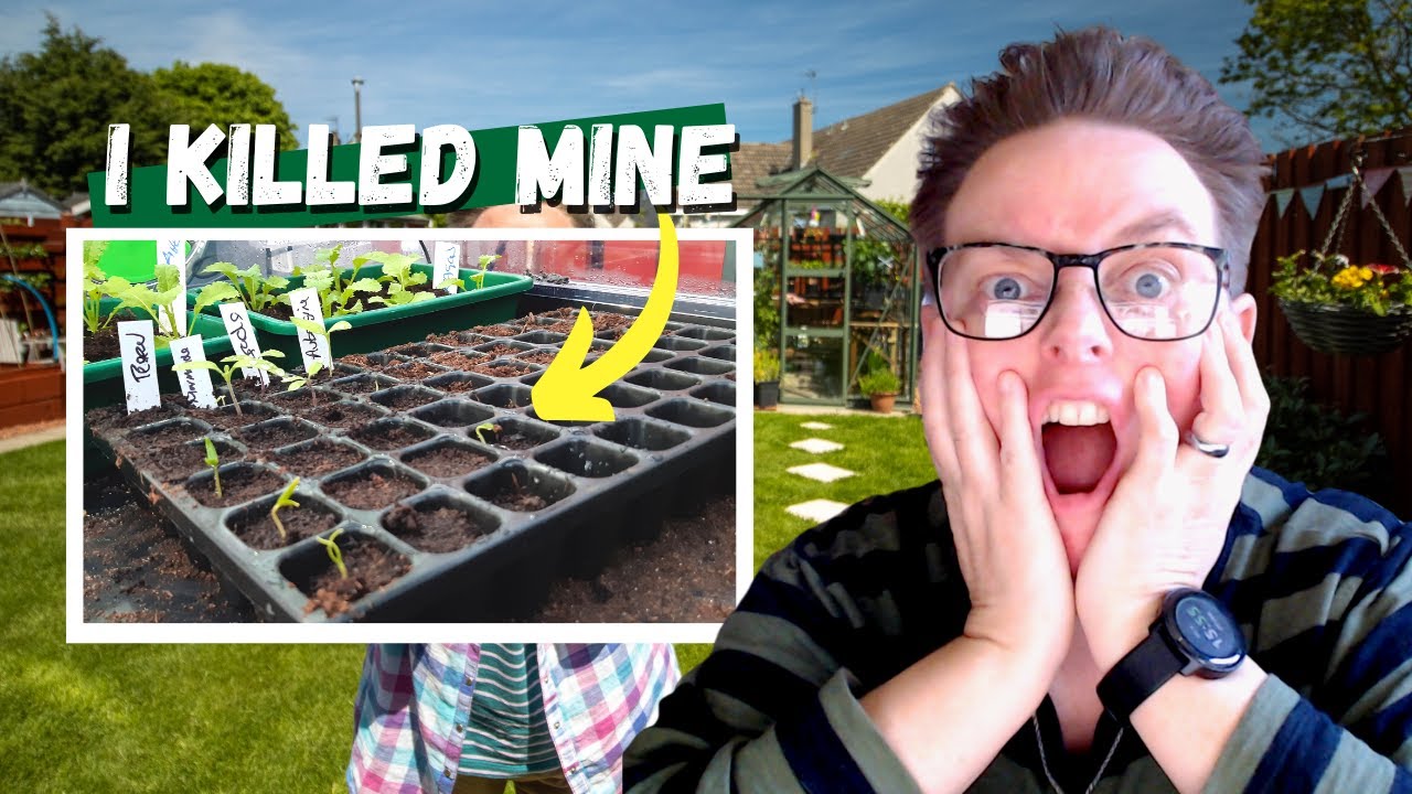 Don’t Kill Your Seedlings: Potting on for Beginners
