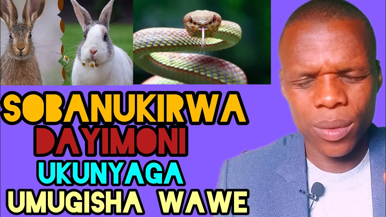Uko imyuka mibi yihisha mu nzoka no murukwavu mu nzozi — Ukuri kutavugwa kumuiganya wumugisha wawe