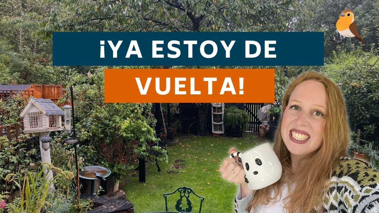 HAUL últimas compras + ¡Os ponga al día!