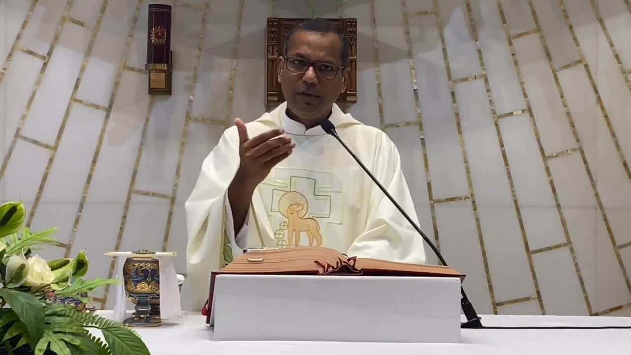 Homily | Divine Mercy Sunday |