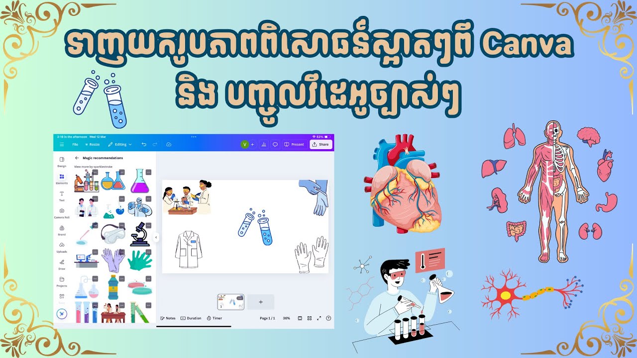 ទាញយករូបភាពពិសោធន៍ស្អាតៗពី Canva និង បញ្ចូលវីដេអូច្បាស់ៗ