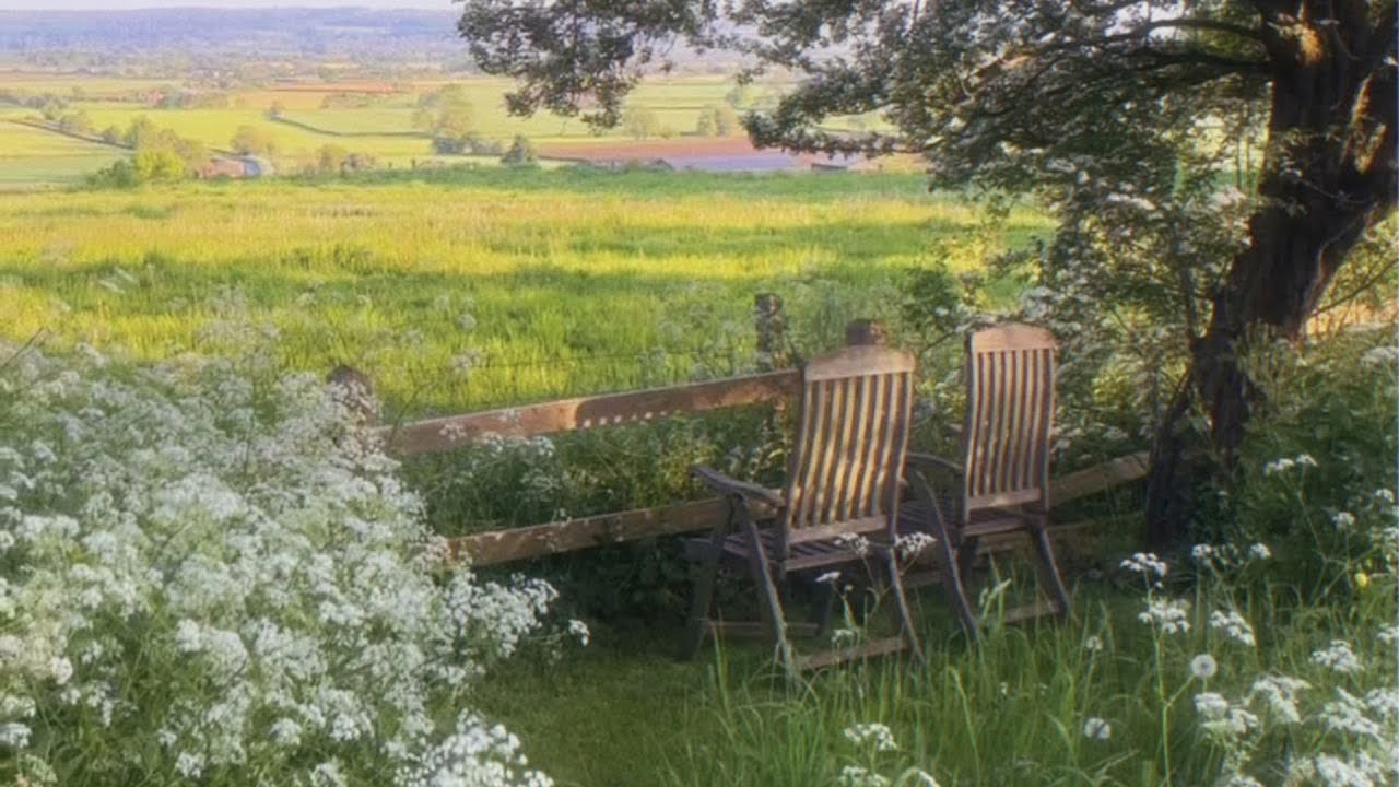 a quiet playlist for a quiet life 🍃(reading, studying & relaxing)