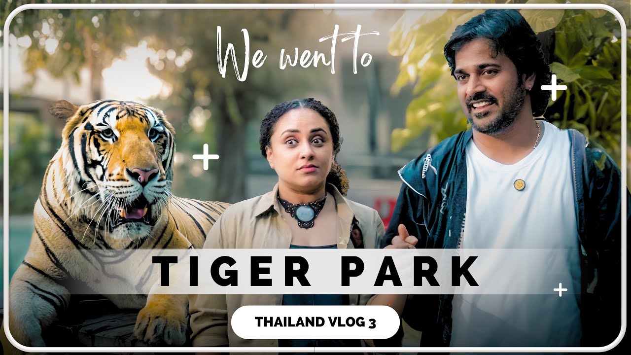 We Went To Tiger park | Thailand Vlog 3 | Pearle Maaney | Srinish Aravind | Baby Nila & Nitara
