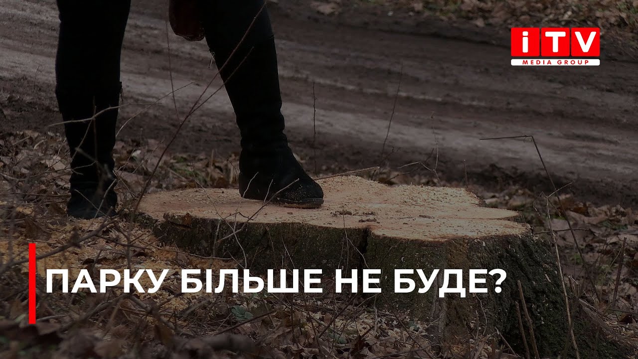 В Острозі почали зрізати дерева. Жителі міста обурені, тож виступили за захист парку