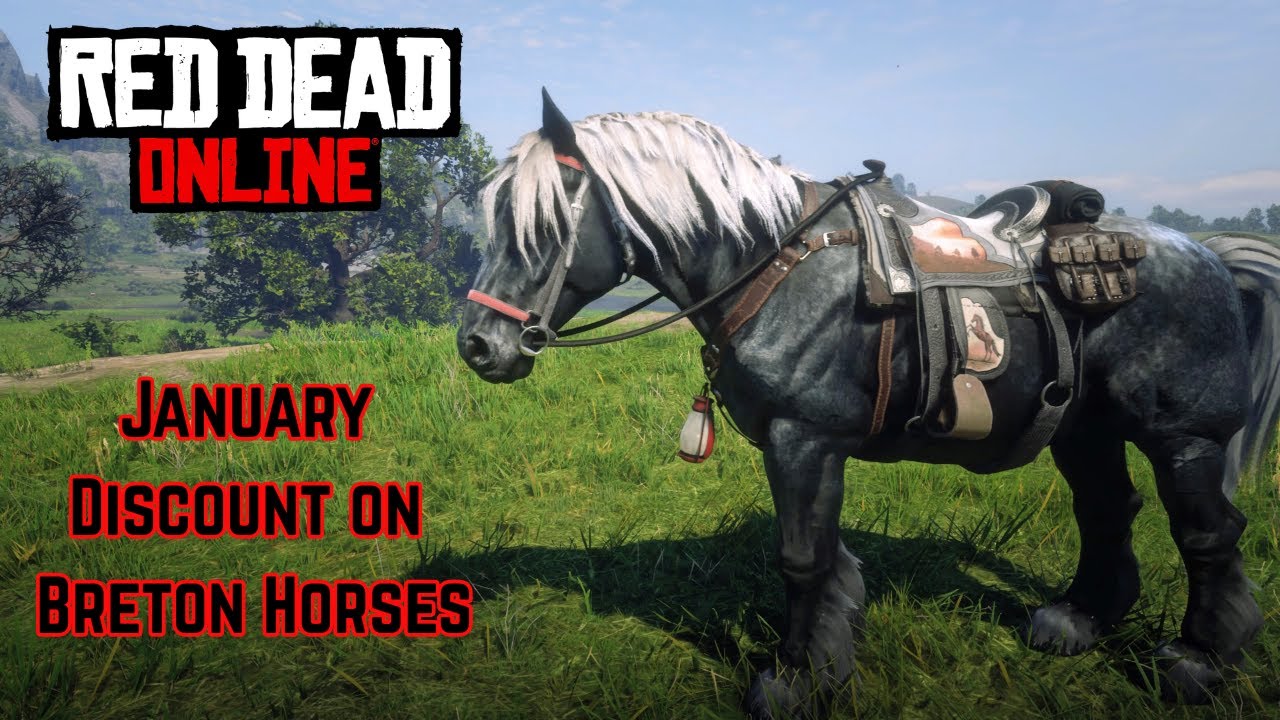 January Discount: Breton Horses