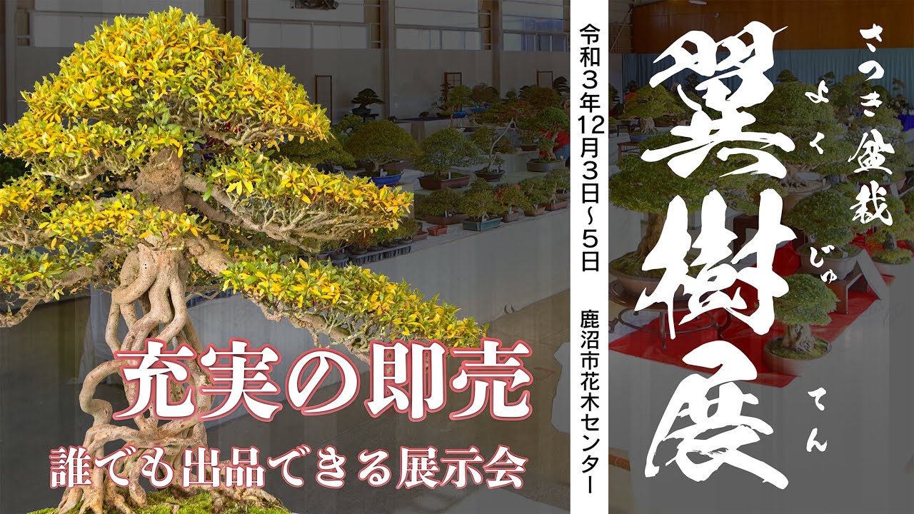 即売充実　誰でも出品できる展示会　第５回 翼樹展