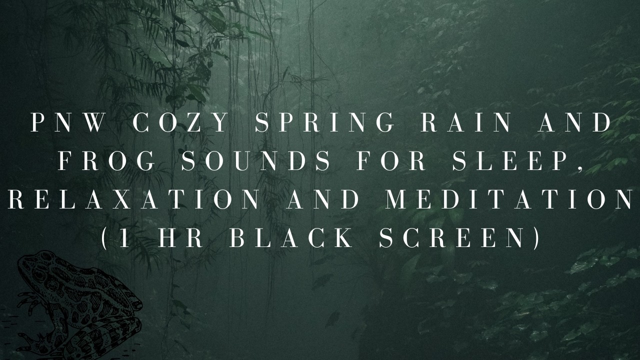 PNW Cozy Spring RAIN AND FROG SOUNDS for sleep (1 HR Black Screen)