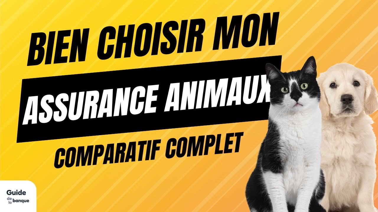 Assurance Chien & Chats : Comparatif COMPLET 2025 ! 🐶🐱