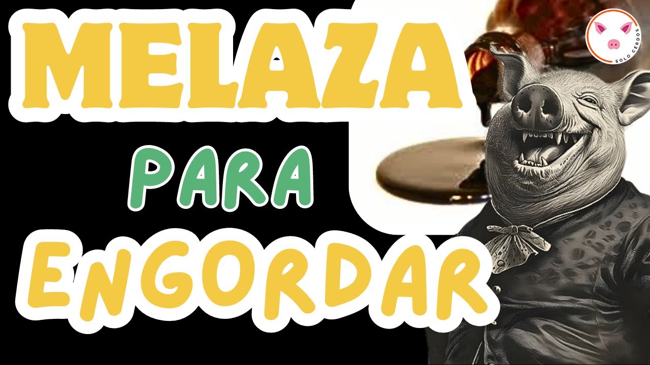 💎 ¡Los 5 mejores SECRETOS de la MELAZA para que sus cerdos CREzcan MÁS RÁPIDO! ⚡