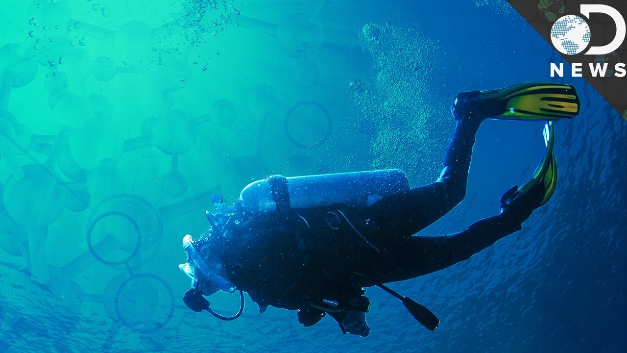 Is The Next Antibiotic Hiding Deep Within The Ocean?