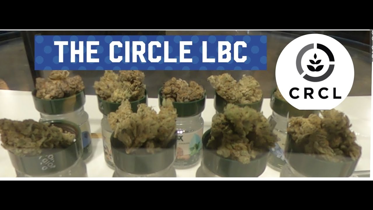 CANNABIS DISPENSARY TOUR | THE CIRCLE, LONG BEACH, CA