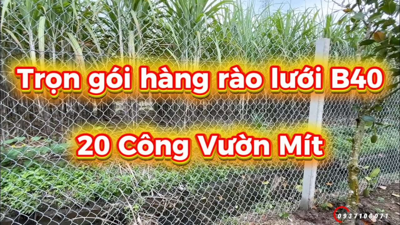 TRỌN GÓI HÀNG RÀO LƯỚI 20 CÔNG CHO KHÁCH HÀNG CẦN THƠ 0937103071