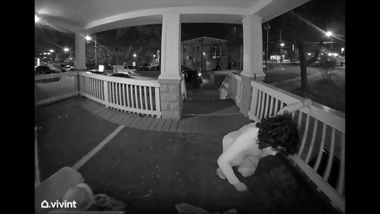 Dog Theft