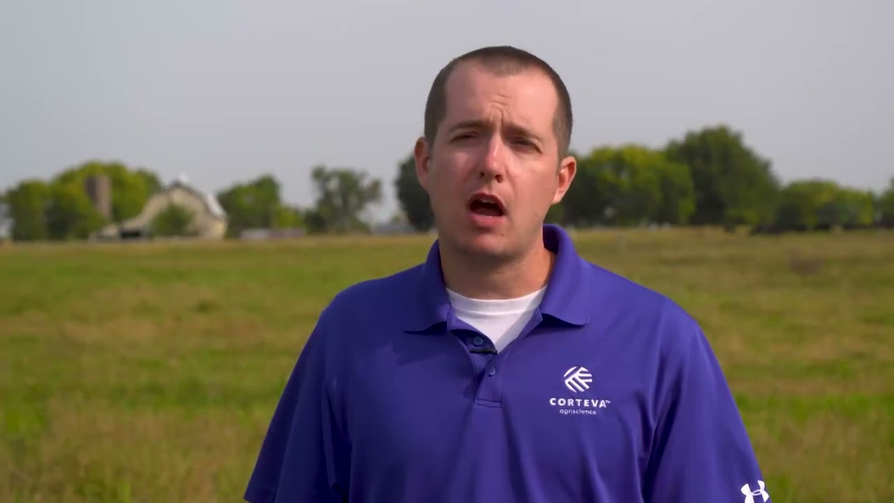 NovaGraz: Protect White Clover While Controlling Pasture Weeds
